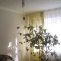 1-комнатная квартира, УЛ. СТЕПАНЦА, 12 К2 1-комнатная квартира, УЛ. СТЕПАНЦА, 12 К2