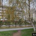 1-комнатная квартира, УЛ. 9-Й ПЯТИЛЕТКИ, 18 1-комнатная квартира, УЛ. 9-Й ПЯТИЛЕТКИ, 18