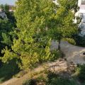 2-комнатная квартира, СЕВАСТОПОЛЬ, УЛ. ГЕНЕРАЛА ЖИДИЛОВА 2-комнатная квартира, СЕВАСТОПОЛЬ, УЛ. ГЕНЕРАЛА ЖИДИЛОВА