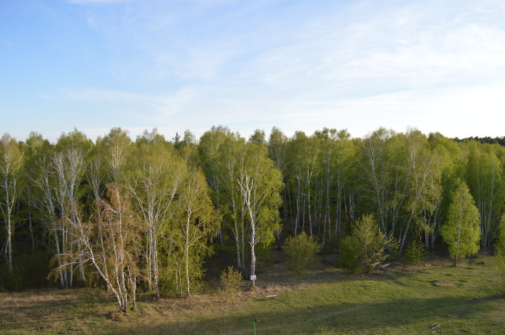 Красноярка. Красноярка (Омский район). Омская область Омский район село Красноярка. Красноярка Омск. Красноярка (Омский район) озеро карпятник.