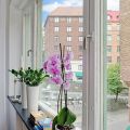 1-комнатная квартира, УЛ. ИМ КИРИЛЛА РОССИНСКОГО, 88 1-комнатная квартира, УЛ. ИМ КИРИЛЛА РОССИНСКОГО, 88