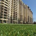 1-комнатная квартира, УЛ. БЕЛЯЕВА, 35 К1 1-комнатная квартира, УЛ. БЕЛЯЕВА, 35 К1