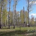 5 комнат и более, СНТ ПОЛЯНКА 5 комнат и более, СНТ ПОЛЯНКА