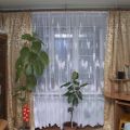 1-комнатная квартира, УЛ. ВЫБОРГСКАЯ, 2 1-комнатная квартира, УЛ. ВЫБОРГСКАЯ, 2