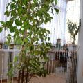 2-комнатная квартира, НИЖНЕВАРТОВСК, 60 ЛЕТ ОКТЯБРЯ ,19А 2-комнатная квартира, НИЖНЕВАРТОВСК, 60 ЛЕТ ОКТЯБРЯ ,19А