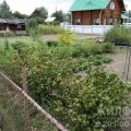 5 комнат и более, СНТ СТРОЙМАШЕВЕЦ 5 комнат и более, СНТ СТРОЙМАШЕВЕЦ