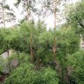 Комната, МАРШАЛА РЫБАЛКО Комната, МАРШАЛА РЫБАЛКО