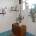 2-комнатная квартира, ЧЕЛЯБИНСК, КАСЛИНСКАЯ Д. 46 2-комнатная квартира, ЧЕЛЯБИНСК, КАСЛИНСКАЯ Д. 46