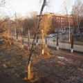 1-комнатная квартира, ИНИЦИАТИВНАЯ, 5 1-комнатная квартира, ИНИЦИАТИВНАЯ, 5