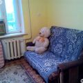 1-комнатная квартира, УЛ. КАВКАЗСКАЯ, 51 1-комнатная квартира, УЛ. КАВКАЗСКАЯ, 51