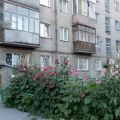 2-комнатная квартира, НОВОСИБИРСК, КОРОЛЕВА, 27 2-комнатная квартира, НОВОСИБИРСК, КОРОЛЕВА, 27