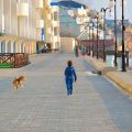 1-комнатная квартира, УЛ. АВИАТОРОВ, 1 1-комнатная квартира, УЛ. АВИАТОРОВ, 1