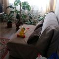 3-комнатная квартира, СЕВАСТОПОЛЬ, УЛ КОМБРИГА ПОТАПОВА Д. 2 3-комнатная квартира, СЕВАСТОПОЛЬ, УЛ КОМБРИГА ПОТАПОВА Д. 2