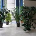 5 комнат и более, УЛ. МОСФИЛЬМОВСКАЯ, 70 К2 5 комнат и более, УЛ. МОСФИЛЬМОВСКАЯ, 70 К2