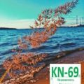 2-комнатная квартира, УЛ. ВАСИЛЬКОВСКОГО, 11 2-комнатная квартира, УЛ. ВАСИЛЬКОВСКОГО, 11