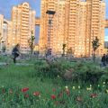 2-комнатная квартира, МОСКВА, ГЕНЕРАЛА КУЗНЕЦОВА Д. 19 КОРП. 1 2-комнатная квартира, МОСКВА, ГЕНЕРАЛА КУЗНЕЦОВА Д. 19 КОРП. 1