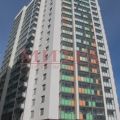 1-комнатная квартира, П. МУРИНО, П. МУРИНО ДОМ 0 1-комнатная квартира, П. МУРИНО, П. МУРИНО ДОМ 0