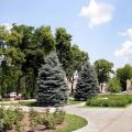 1-комнатная квартира, ПЛ. ИМ ЛЕНИНА 1-комнатная квартира, ПЛ. ИМ ЛЕНИНА