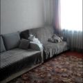 1-комнатная квартира, УЛ. ЛЕСКОВА, 72 1-комнатная квартира, УЛ. ЛЕСКОВА, 72