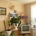 2-комнатная квартира, ВЕРХНИЙ БОР, СЛАВЯНСКАЯ 9Б 2-комнатная квартира, ВЕРХНИЙ БОР, СЛАВЯНСКАЯ 9Б