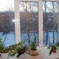 Комната, УЛ. НАХИМОВА, 57А Комната, УЛ. НАХИМОВА, 57А