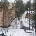 5 комнат и более, СОСНЫ ПОСЕЛОК, 17 5 комнат и более, СОСНЫ ПОСЕЛОК, 17