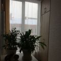 1-комнатная квартира, МКР. БЕРЕЗОВЫЙ, 81 1-комнатная квартира, МКР. БЕРЕЗОВЫЙ, 81