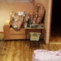 1-комнатная квартира, СОВЕТСК, ПОБЕДЫ 46 1-комнатная квартира, СОВЕТСК, ПОБЕДЫ 46