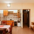 1-комнатная квартира, ИРКУТСК, ГОГОЛЯ 11 1-комнатная квартира, ИРКУТСК, ГОГОЛЯ 11
