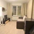 1-комнатная квартира, П. ПАРГОЛОВО, УЛ. ФЁДОРА АБРАМОВА, 20 К1 1-комнатная квартира, П. ПАРГОЛОВО, УЛ. ФЁДОРА АБРАМОВА, 20 К1