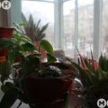 2-комнатная квартира, НЕРЧИНСКАЯ, 1 2-комнатная квартира, НЕРЧИНСКАЯ, 1