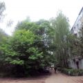 1-комнатная квартира, КУБИНКА Г, КУБИНКА Г КУБИНКА-10 ГОРОДОК 1-комнатная квартира, КУБИНКА Г, КУБИНКА Г КУБИНКА-10 ГОРОДОК